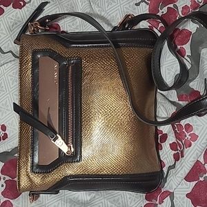 Bronze Gianni Bini Purse